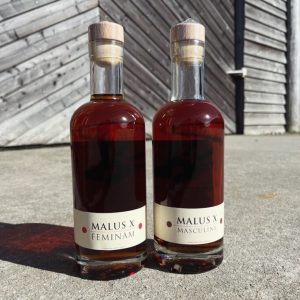 Nyhedskassen - Feminam og Masculine